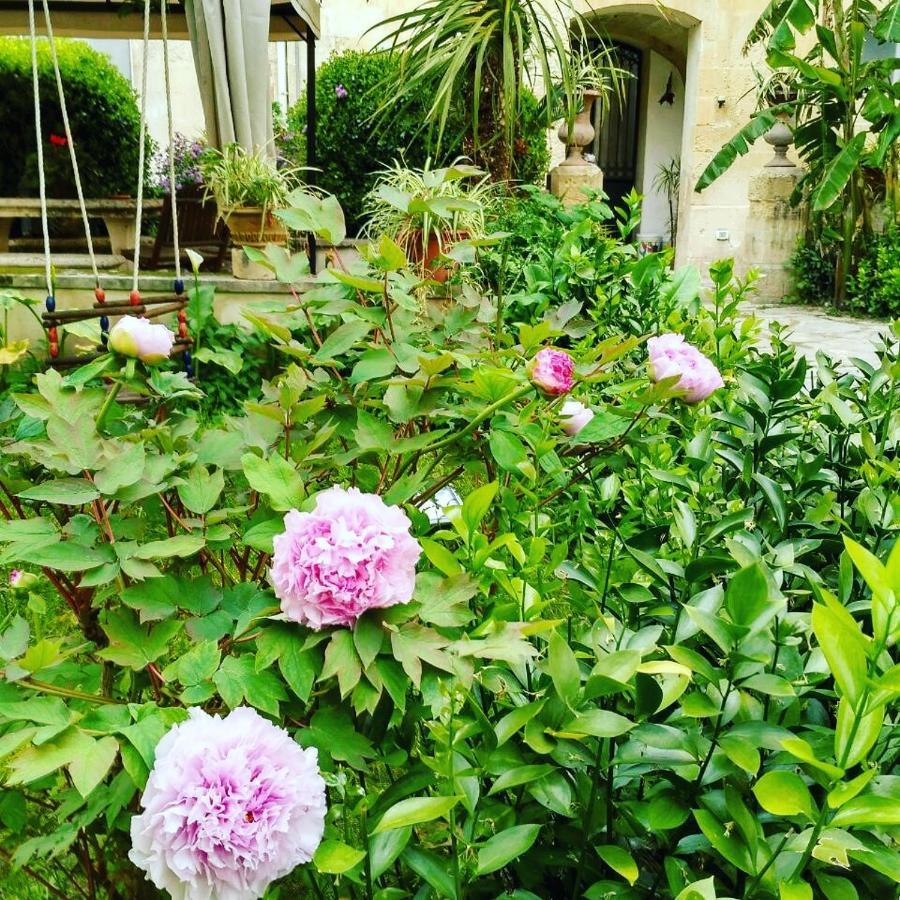 B&B L'Orangerie D'Epoque 莱切 外观 照片