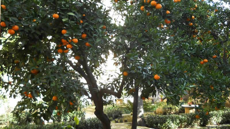 B&B L'Orangerie D'Epoque 莱切 外观 照片